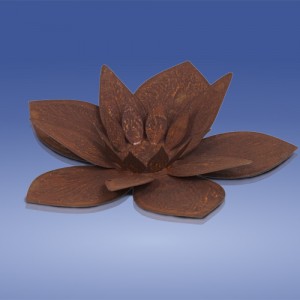 Rost Lotusblume
