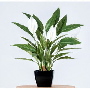 künstliche Spathiphyllum Pflanze mit 4 weißen Blüten ca. 50cm**