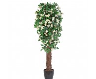 künstliche Bougainvillea weiß/creme blühend ca. 170cm**