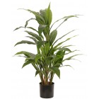 Keulenlilie, Kunstpflanze mit 4 Ausläufern und & 50 Blättern, Echtholz-Stamm (Ø 1,5 cm, H. 17 cm), H. 80 cm