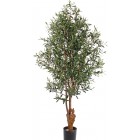 Olivenbaum 4.160 Blätter, 170cm - UV sicher, ohne Oliven**