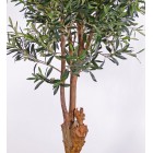 Olivenbaum 4.160 Blätter, 170cm - UV sicher, ohne Oliven**