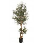 Olivenbaum mit Oliven 150cm, Stamm aus Fiberglas, Zweige aus Holz**