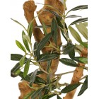 Olivenbaum mit Oliven 150cm, Stamm aus Fiberglas, Zweige aus Holz**