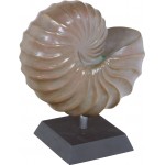 NAUTICA Skulptur, 31x19/37 cm, verdigris bronze GERINGER RESTBESTAND