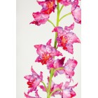 ORCHIDEEN-ZWEIG (ODONTOGLOSSUM) Kunstblume, 135 cm, pink