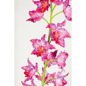 ORCHIDEEN-ZWEIG (ODONTOGLOSSUM) Kunstblume, 135 cm, pink