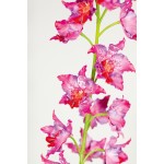 ORCHIDEEN-ZWEIG (ODONTOGLOSSUM) Kunstblume, 105 cm, pink