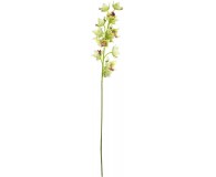 ORCHIDEEN-ZWEIG (ODONTOGLOSSUM) Kunstblume, 105 cm, weiß