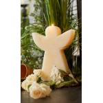 Engelskerze groß 21cm, 1xKarton